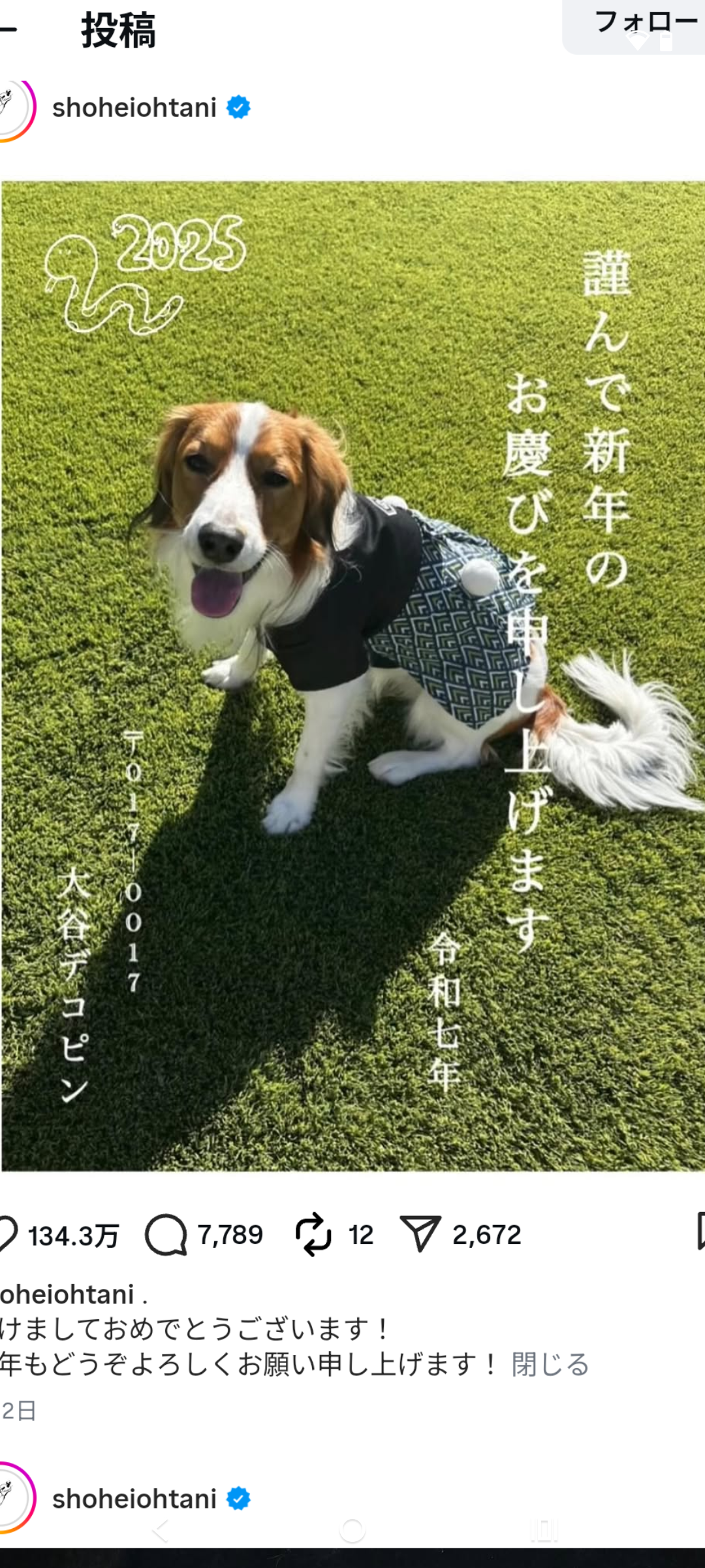 大谷翔平、デコピンの“リラックスショット”公開！ソファでゆったり　ワールドシリーズ連覇から一夜明け