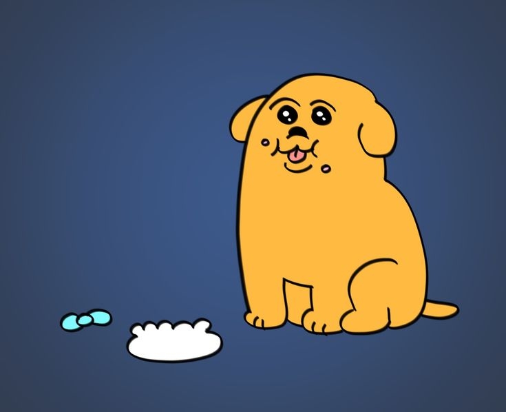 ペットロスからの立ち直り方