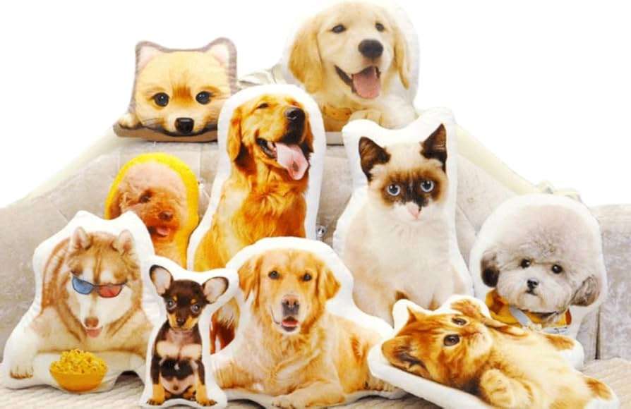 ペットロスからの立ち直り方