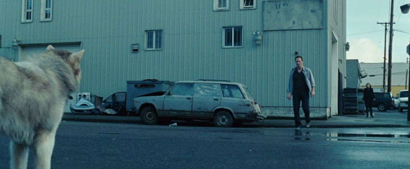 ペットロスからの立ち直り方