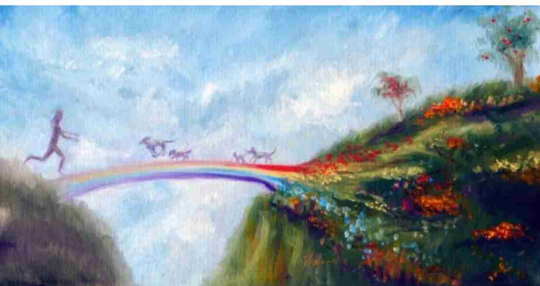 ペットロスからの立ち直り方