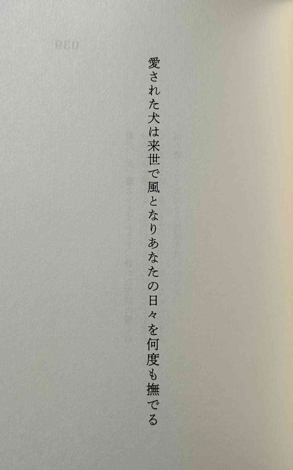 ペットロスからの立ち直り方