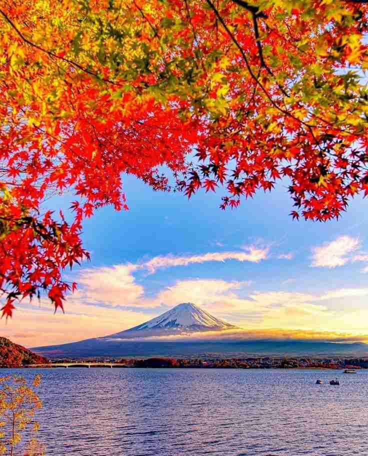 辛い時に少しでも心を軽くする方法