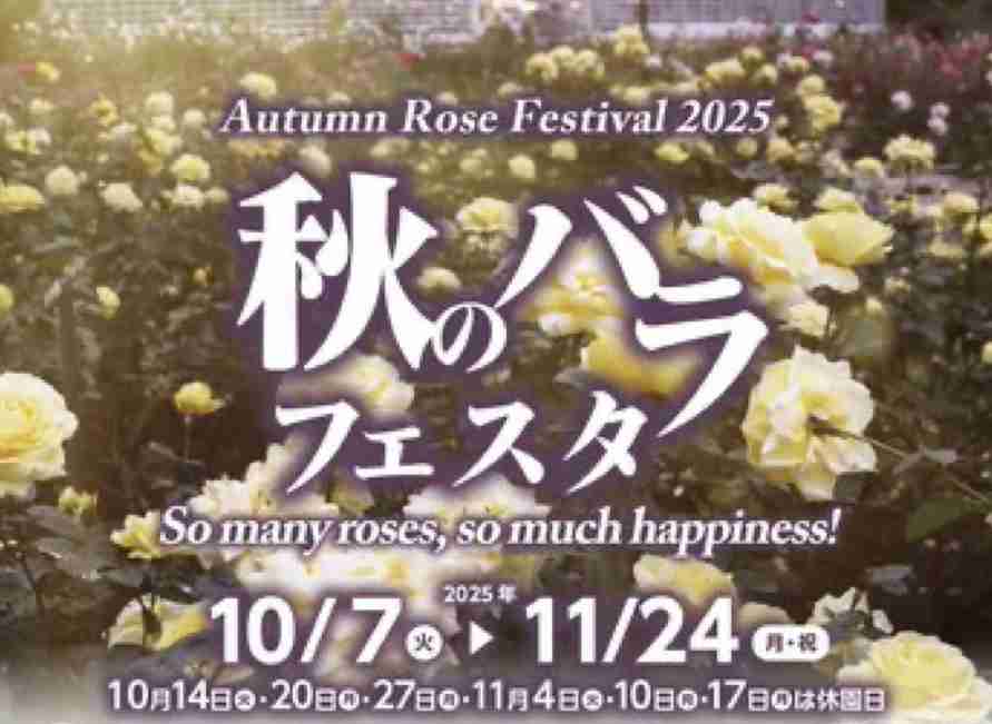 まだ見頃の花スポット