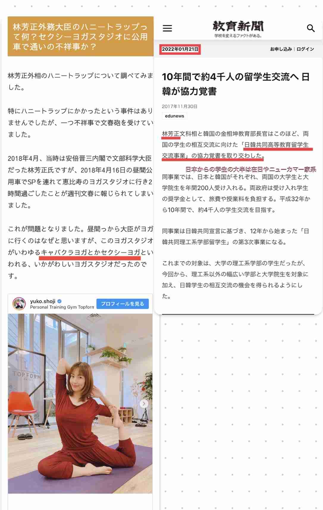 SNS2.9万いいね!林芳正総務相と“エキゾチックショートヘア”が激似!?→石破茂の“猫に好かれる伝説”も同時再燃