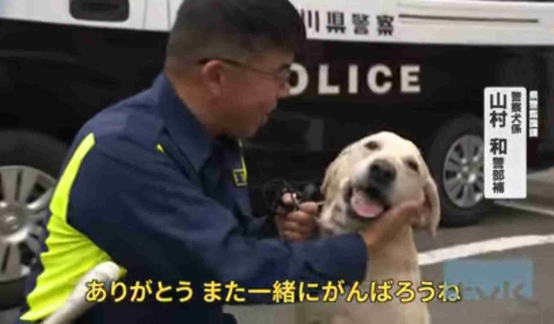 お手柄!警察犬を表彰 行方不明の11歳男児を発見 港南署