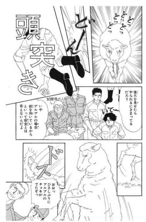 羊と猫の椅子取りゲーム。岩を独り占めしたい羊と猫の攻防戦が面白い