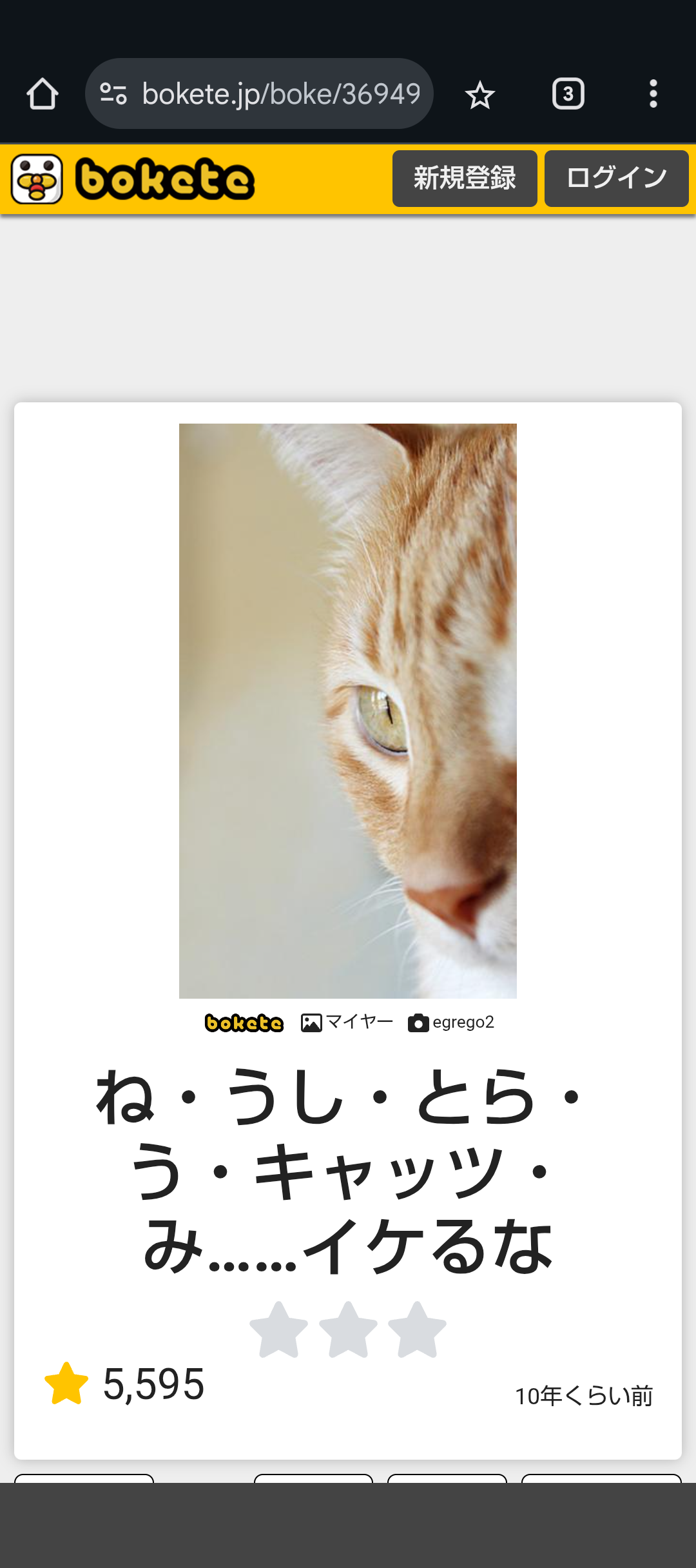 羊と猫の椅子取りゲーム。岩を独り占めしたい羊と猫の攻防戦が面白い