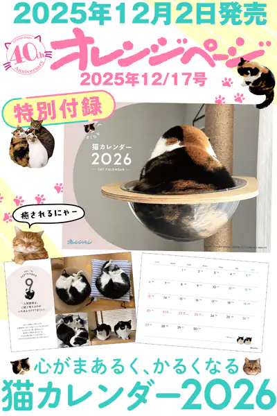 【定期トピ】雑誌付録12.1月号