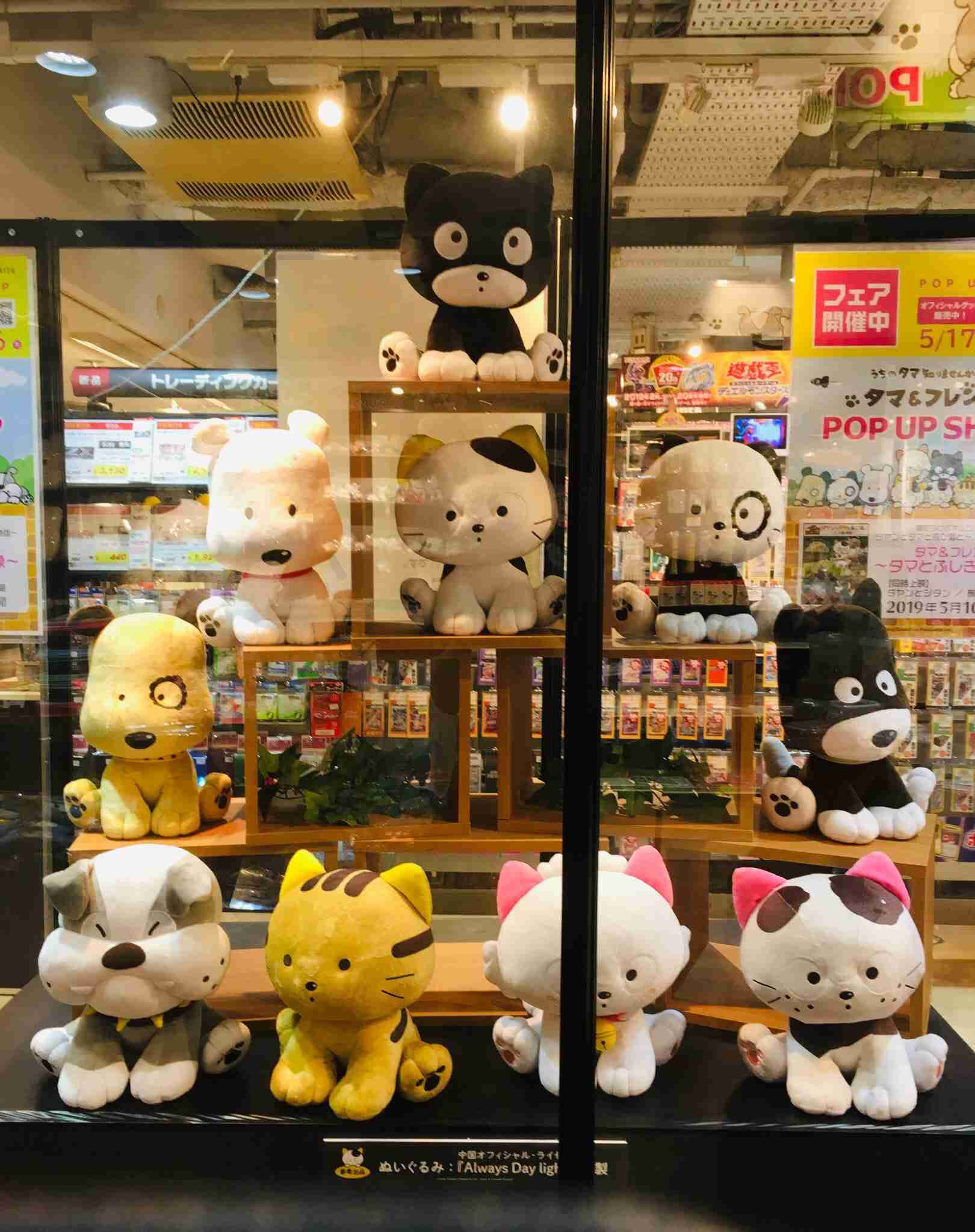 「うちのタマ知りませんか？」について語ろう part3