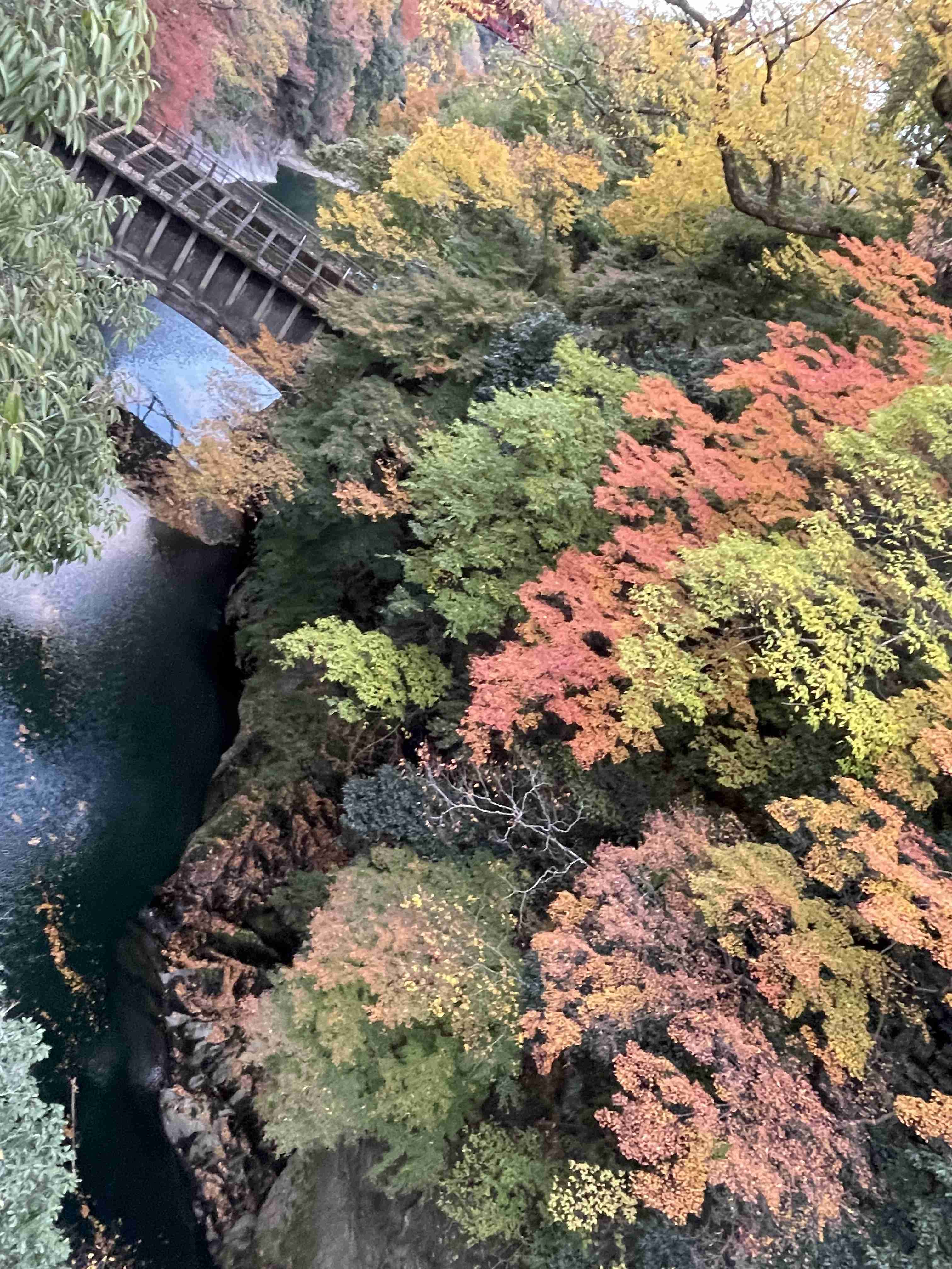 自分で撮影した、秋らしい写真を投稿しましょう