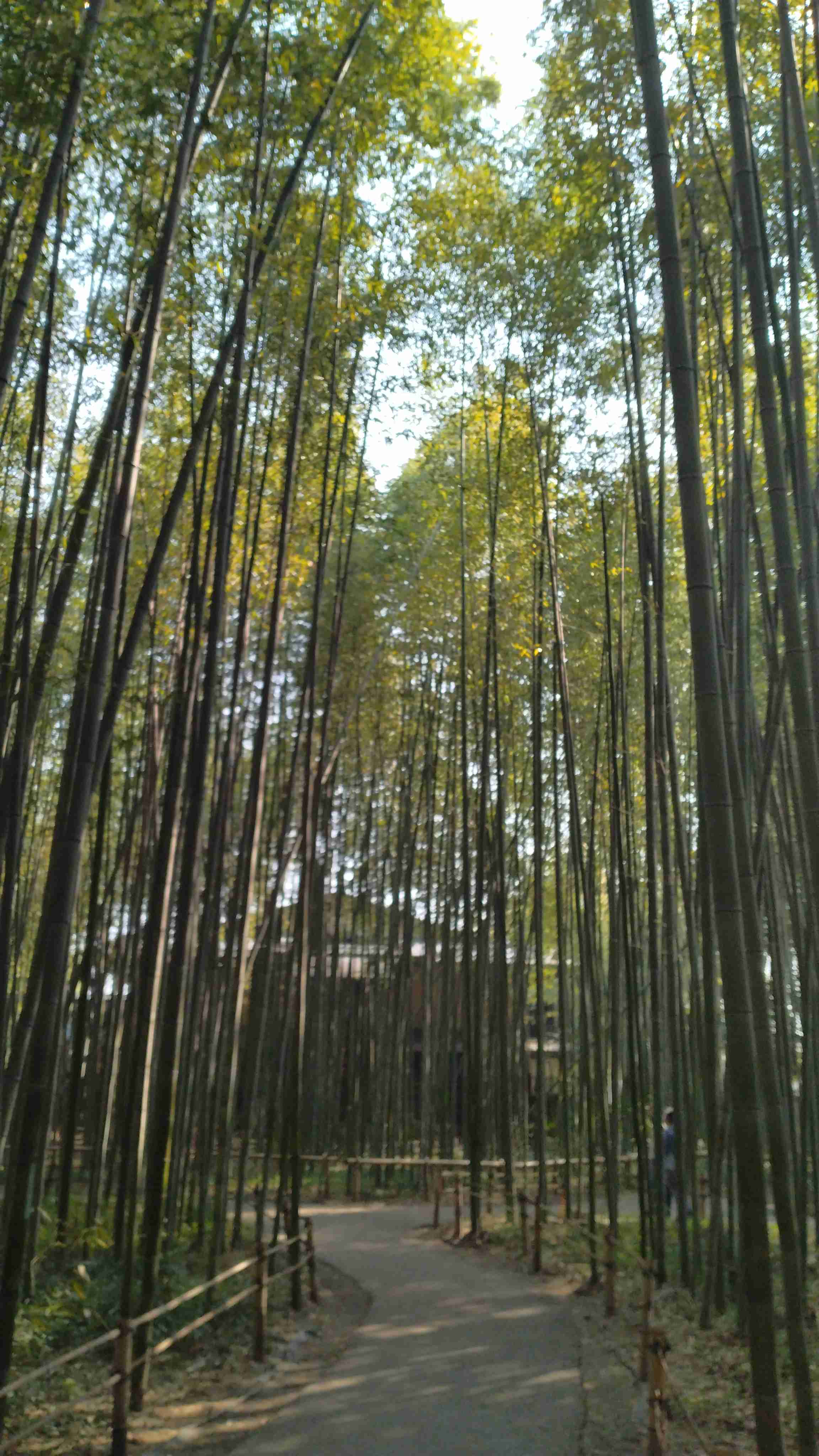 自分で撮影した、秋らしい写真を投稿しましょう