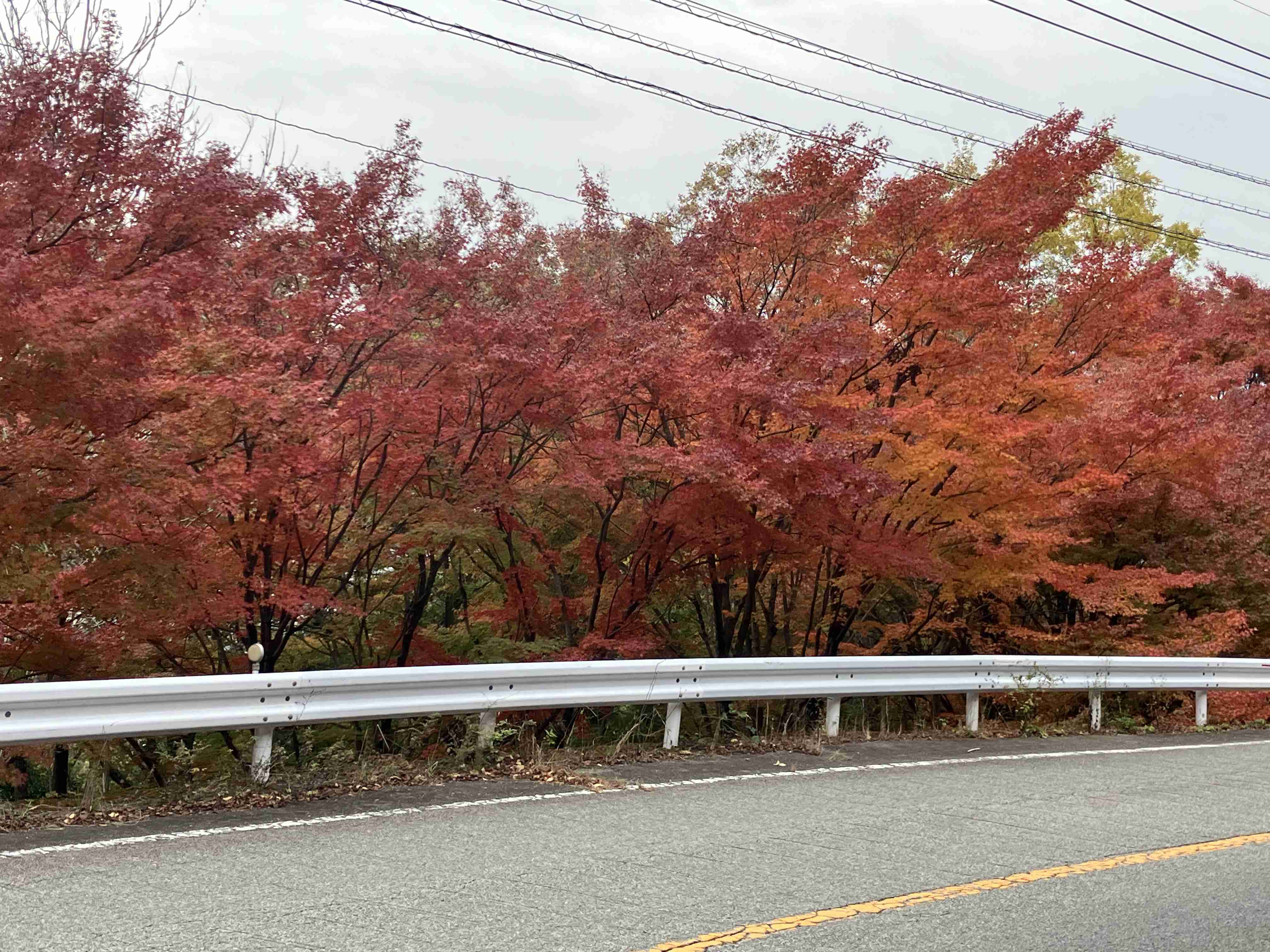 自分で撮影した、秋らしい写真を投稿しましょう