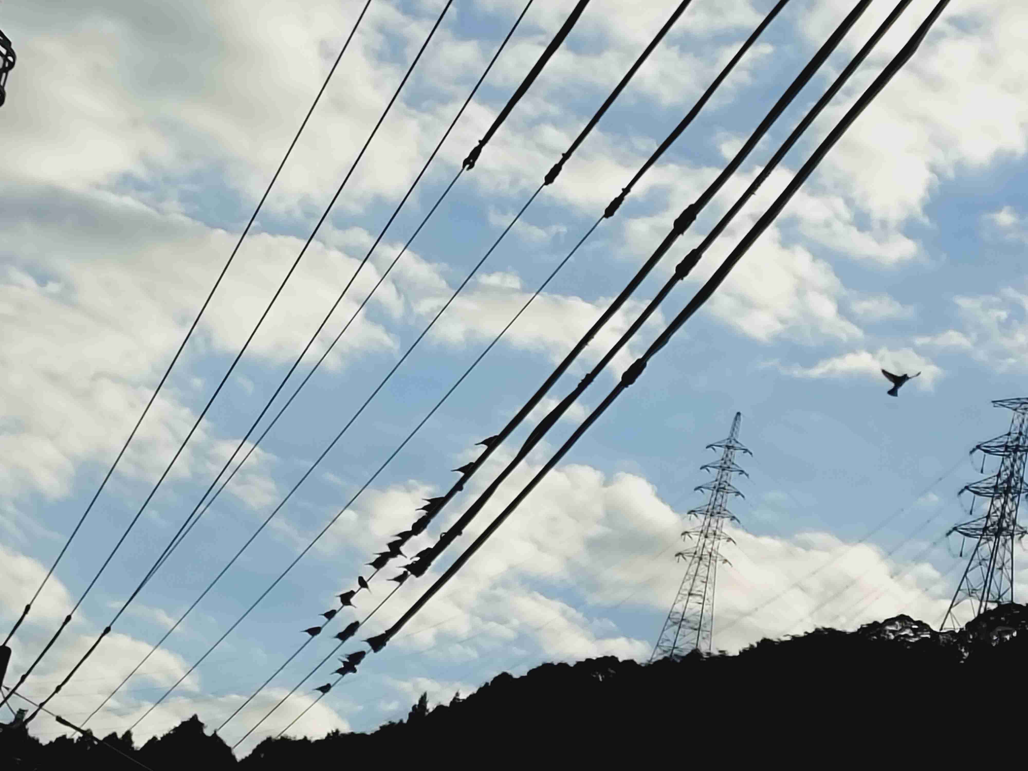 自分で撮影した、秋らしい写真を投稿しましょう