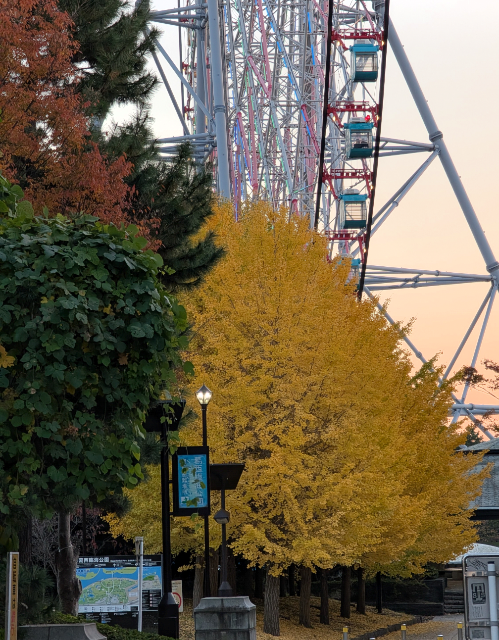 自分で撮影した、秋らしい写真を投稿しましょう