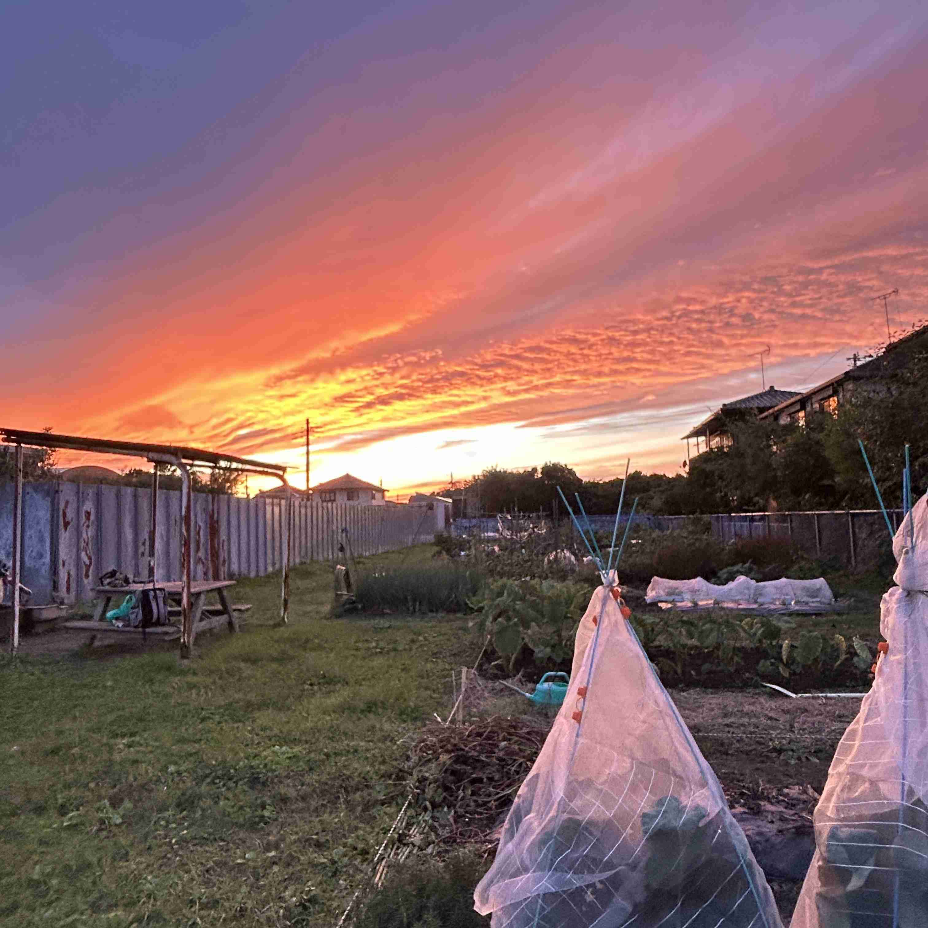 自分で撮影した、秋らしい写真を投稿しましょう