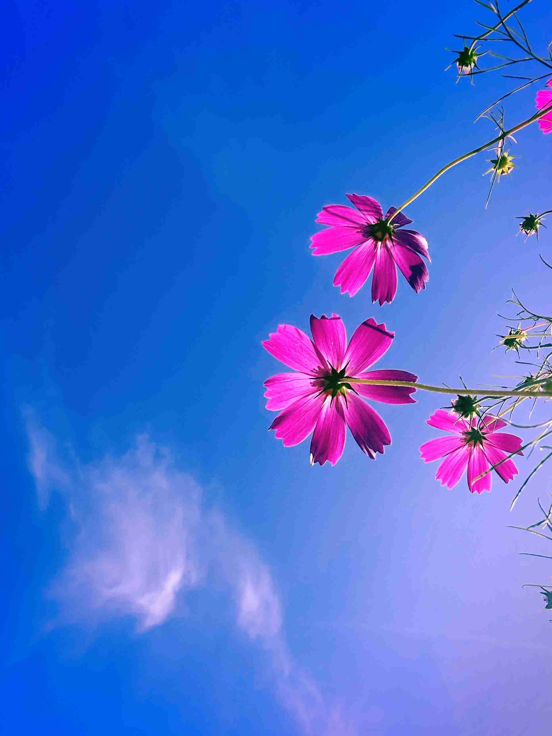 自分で撮影した、秋らしい写真を投稿しましょう