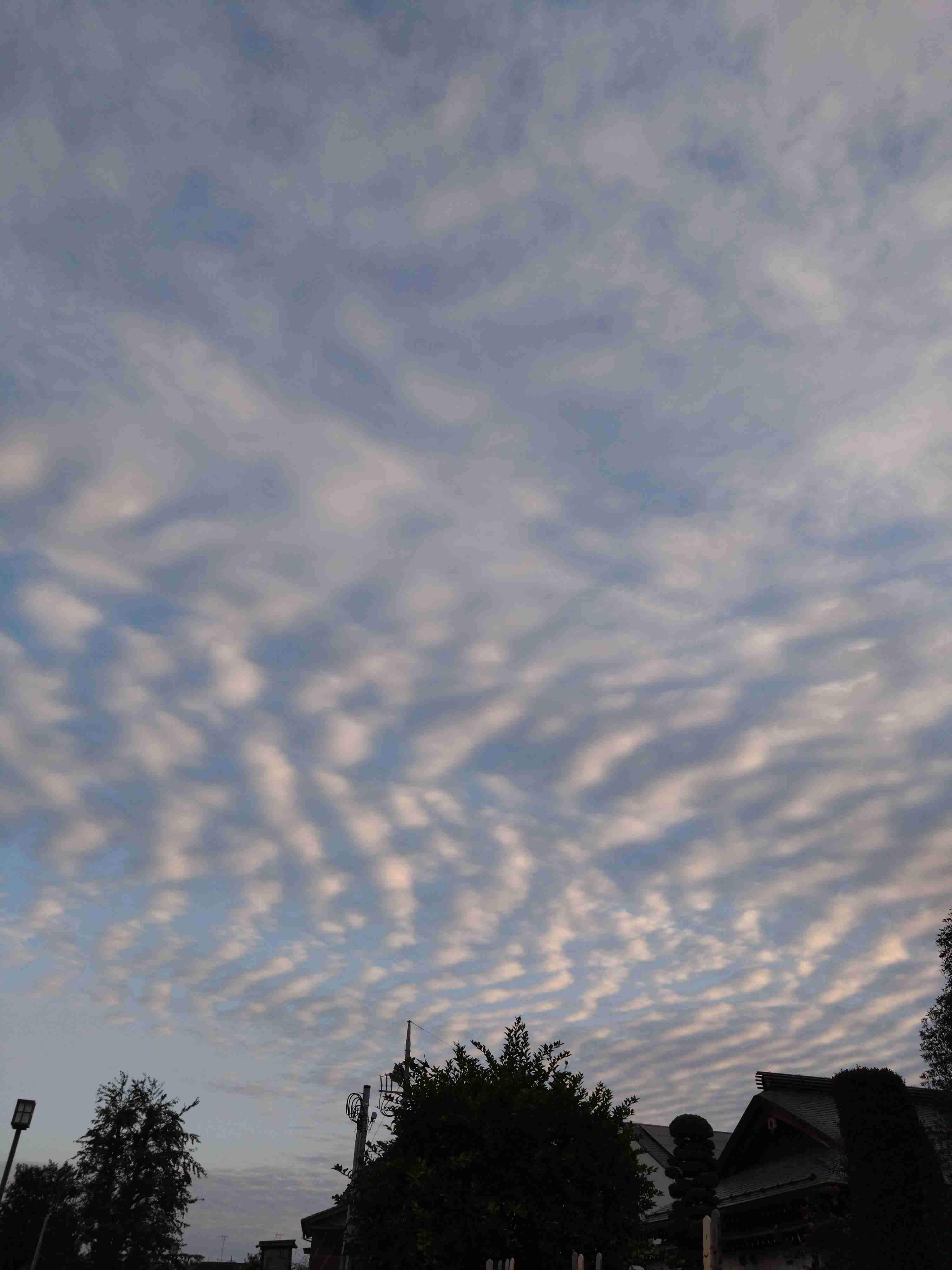 自分で撮影した、秋らしい写真を投稿しましょう