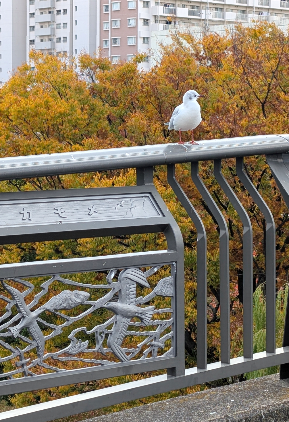 自分で撮影した、秋らしい写真を投稿しましょう