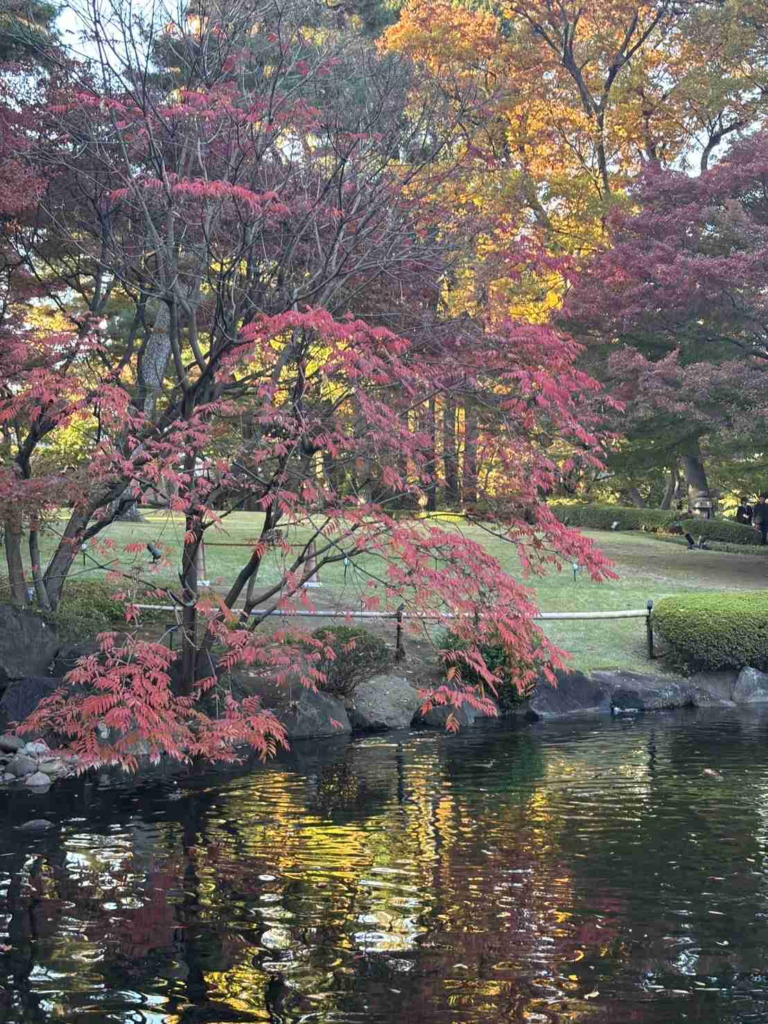 自分で撮影した、秋らしい写真を投稿しましょう