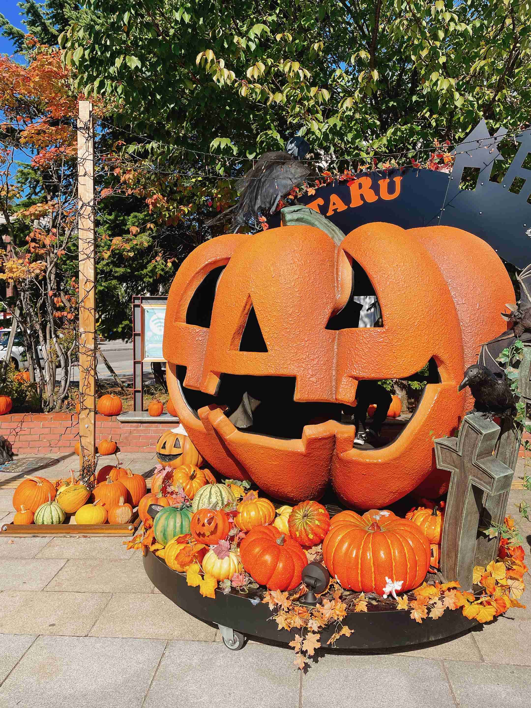 自分で撮影した、秋らしい写真を投稿しましょう