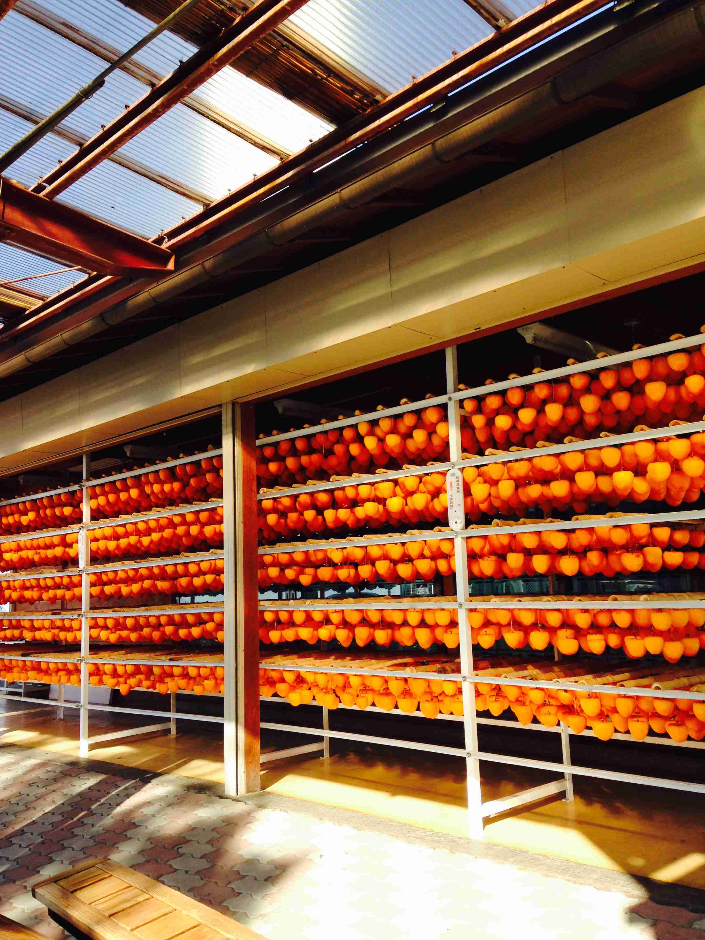 自分で撮影した、秋らしい写真を投稿しましょう