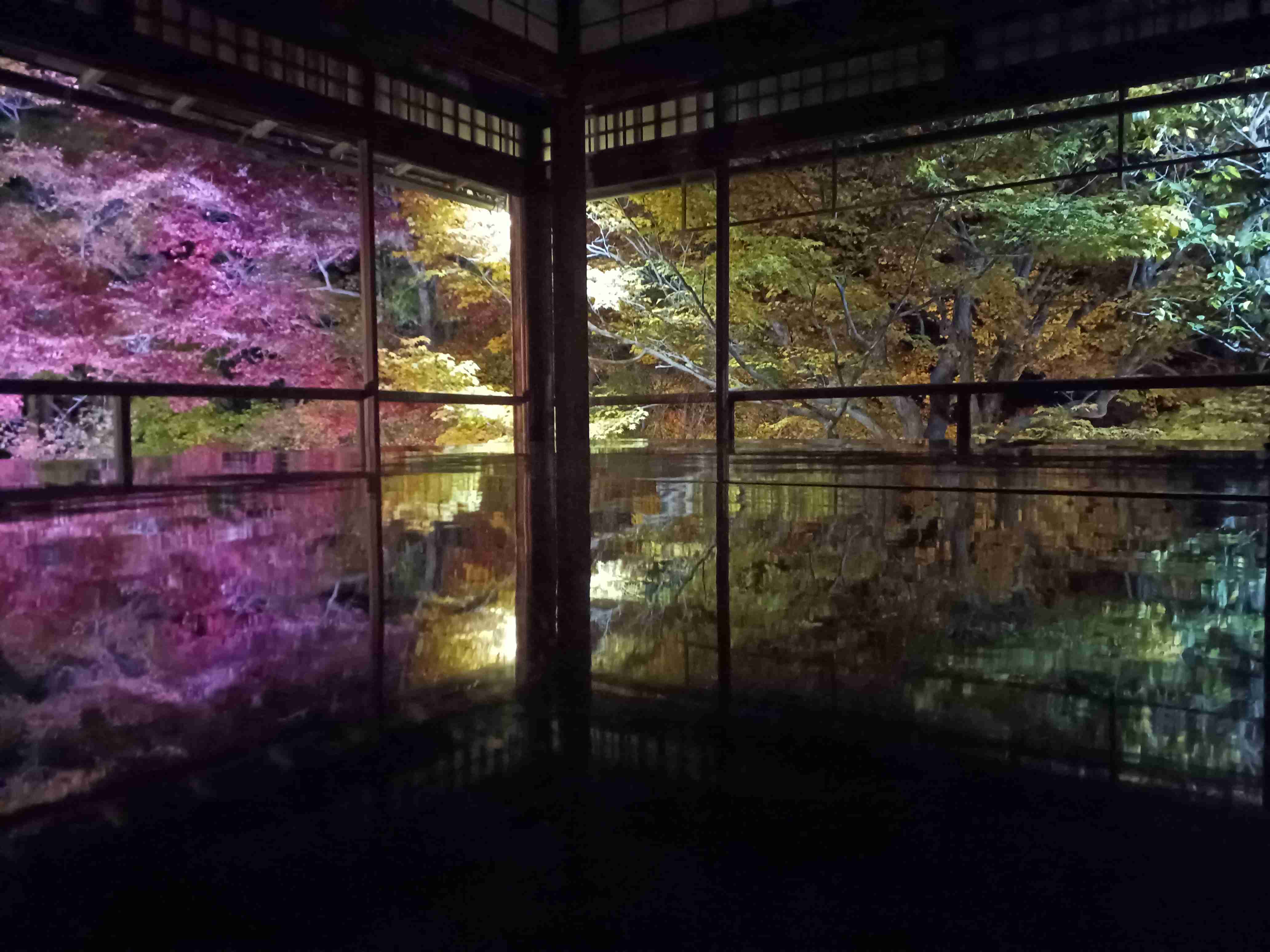 自分で撮影した、秋らしい写真を投稿しましょう