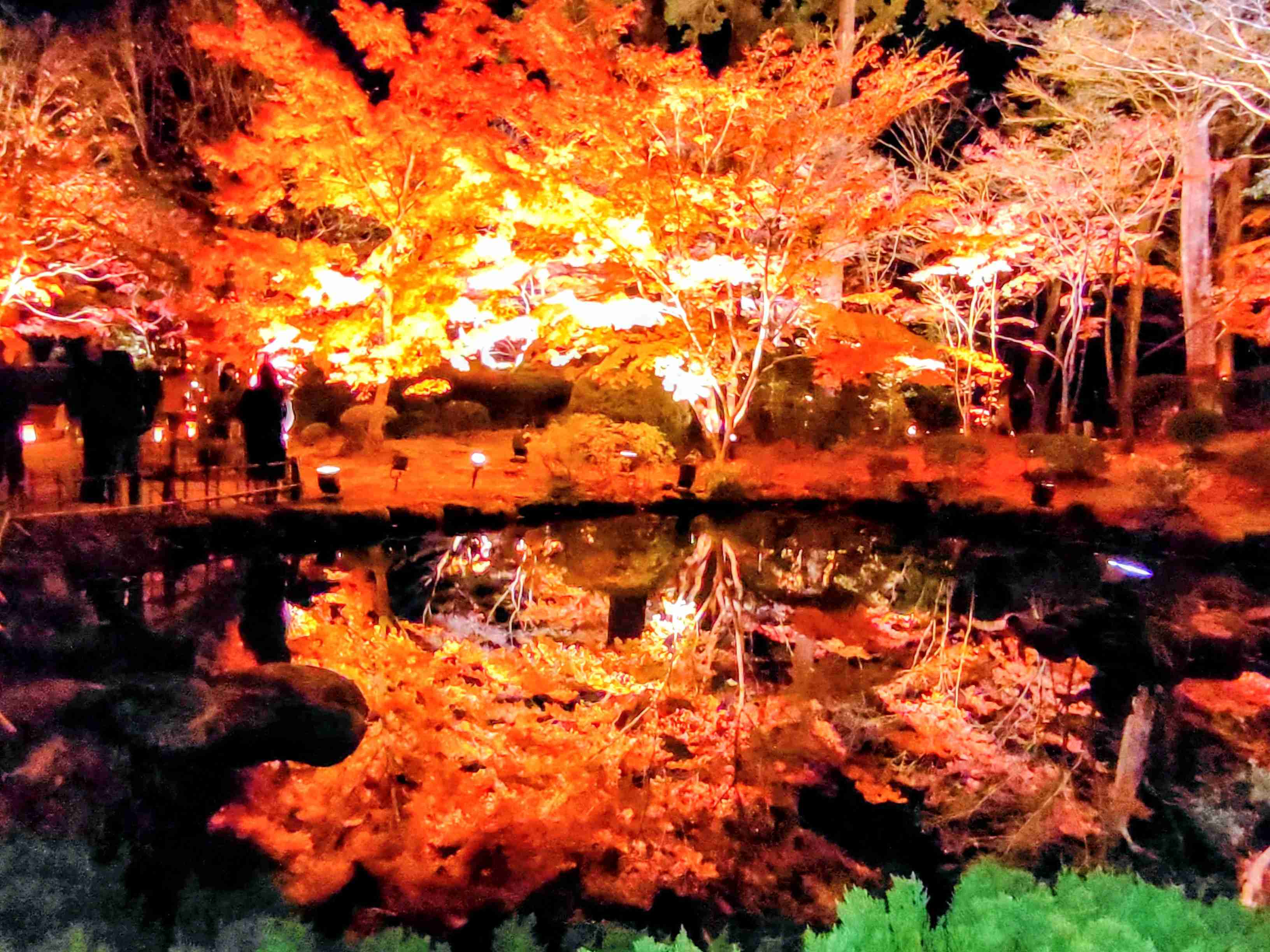 自分で撮影した、秋らしい写真を投稿しましょう