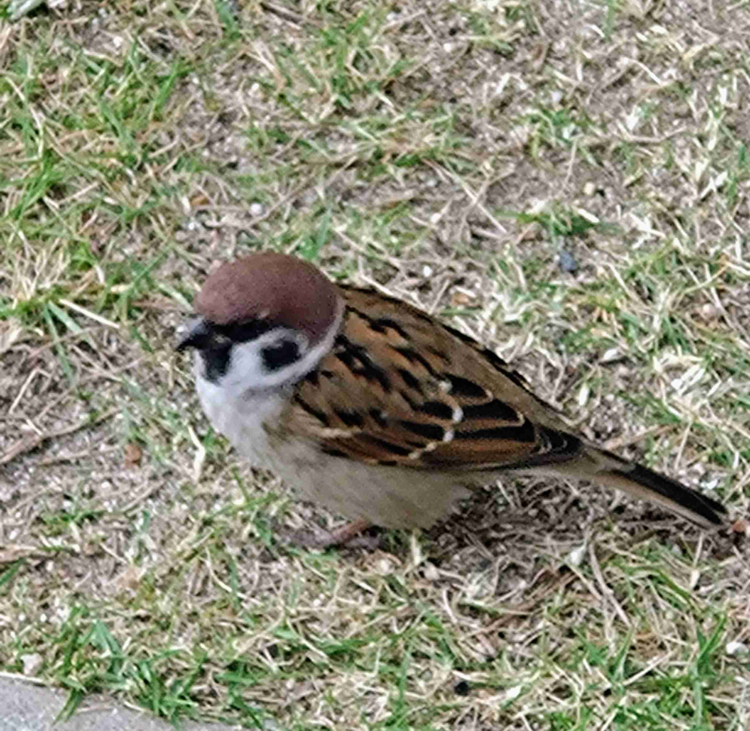 自分で撮影した、秋らしい写真を投稿しましょう