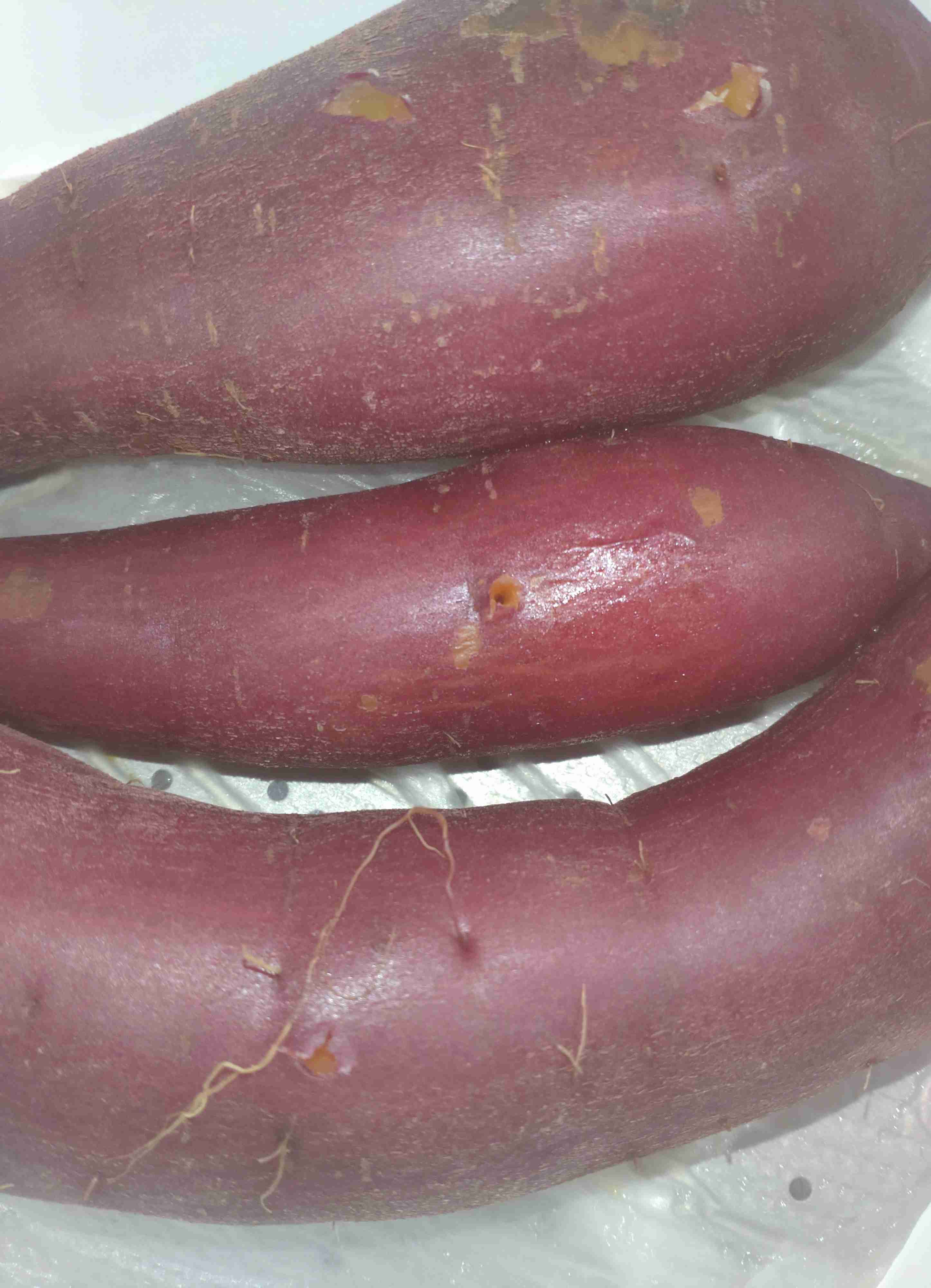 自分で撮影した、秋らしい写真を投稿しましょう