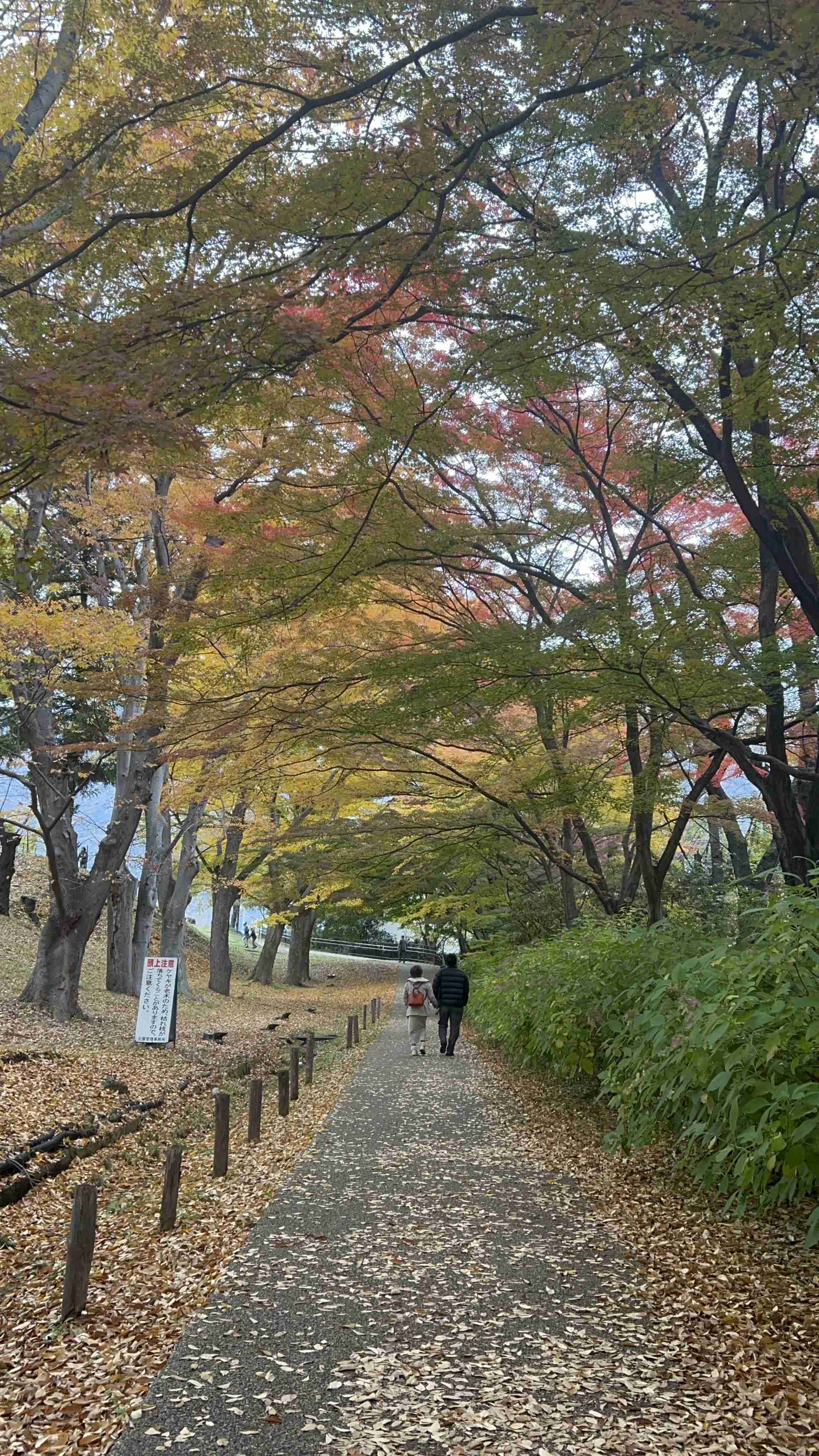 自分で撮影した、秋らしい写真を投稿しましょう