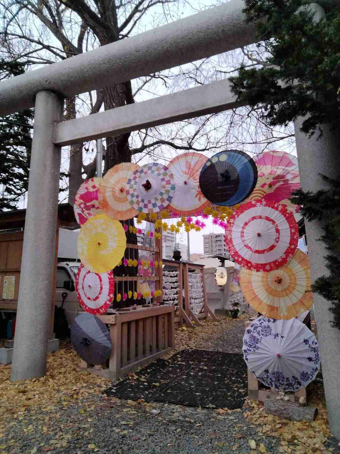 自分で撮影した、秋らしい写真を投稿しましょう