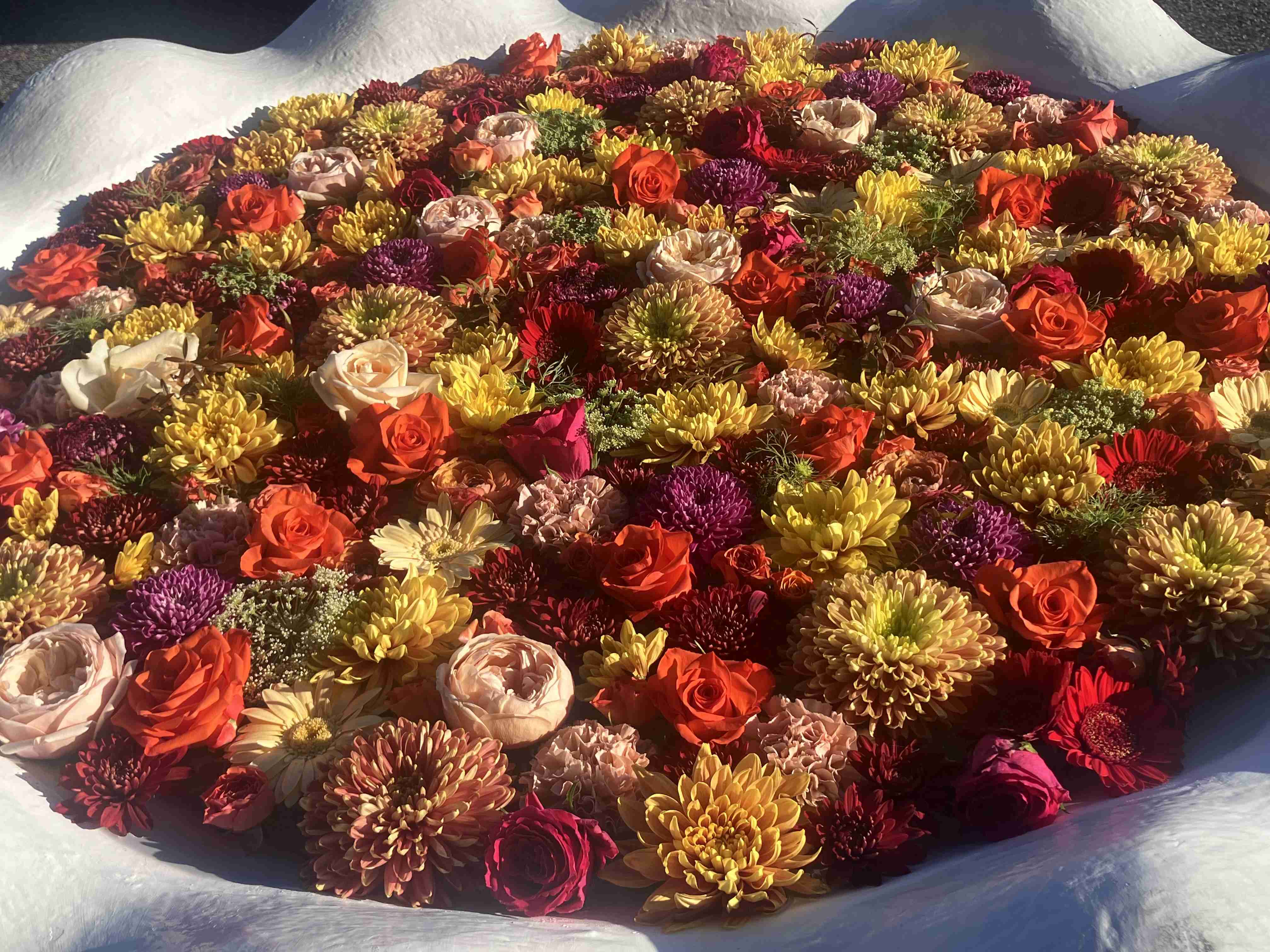 自分で撮影した、秋らしい写真を投稿しましょう