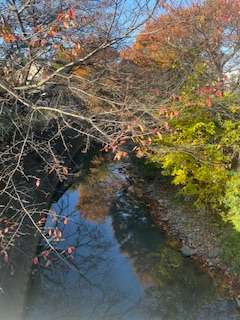 自分で撮影した、秋らしい写真を投稿しましょう