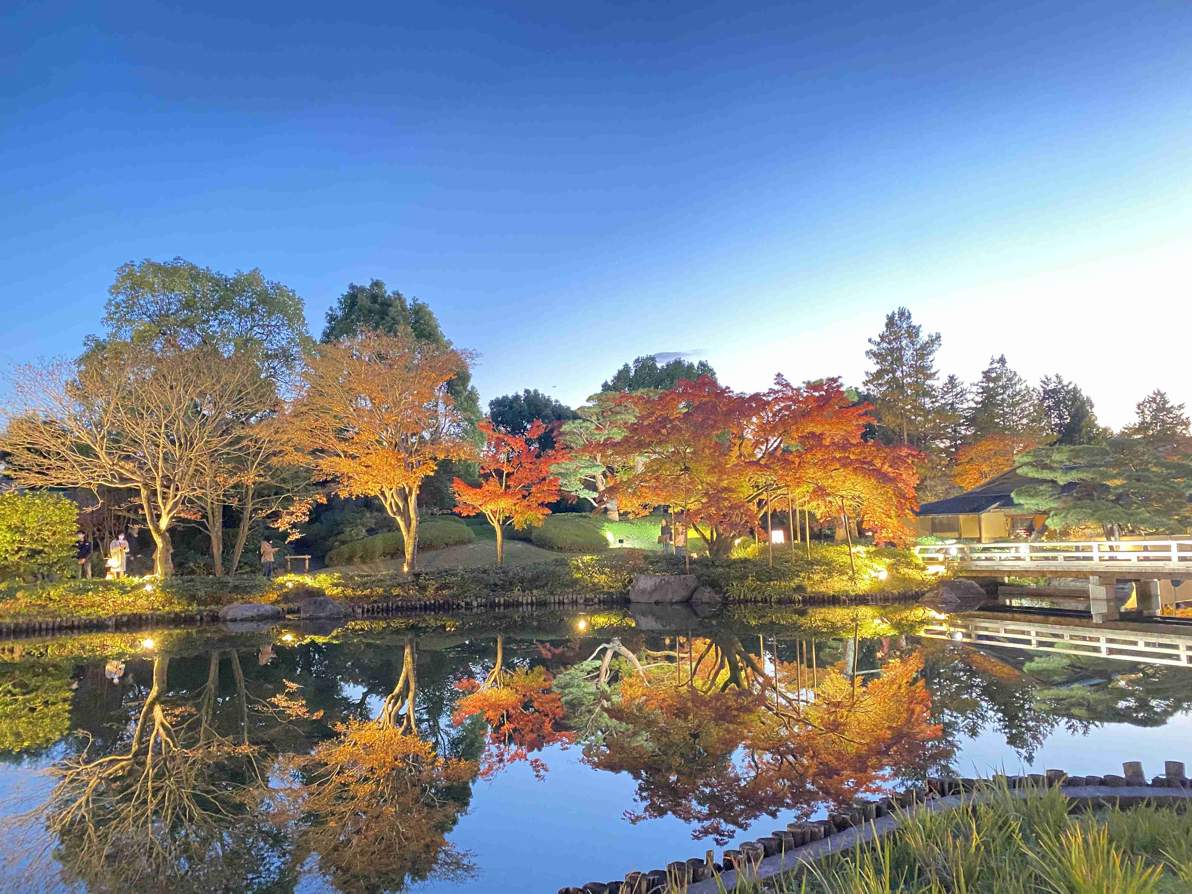 自分で撮影した、秋らしい写真を投稿しましょう