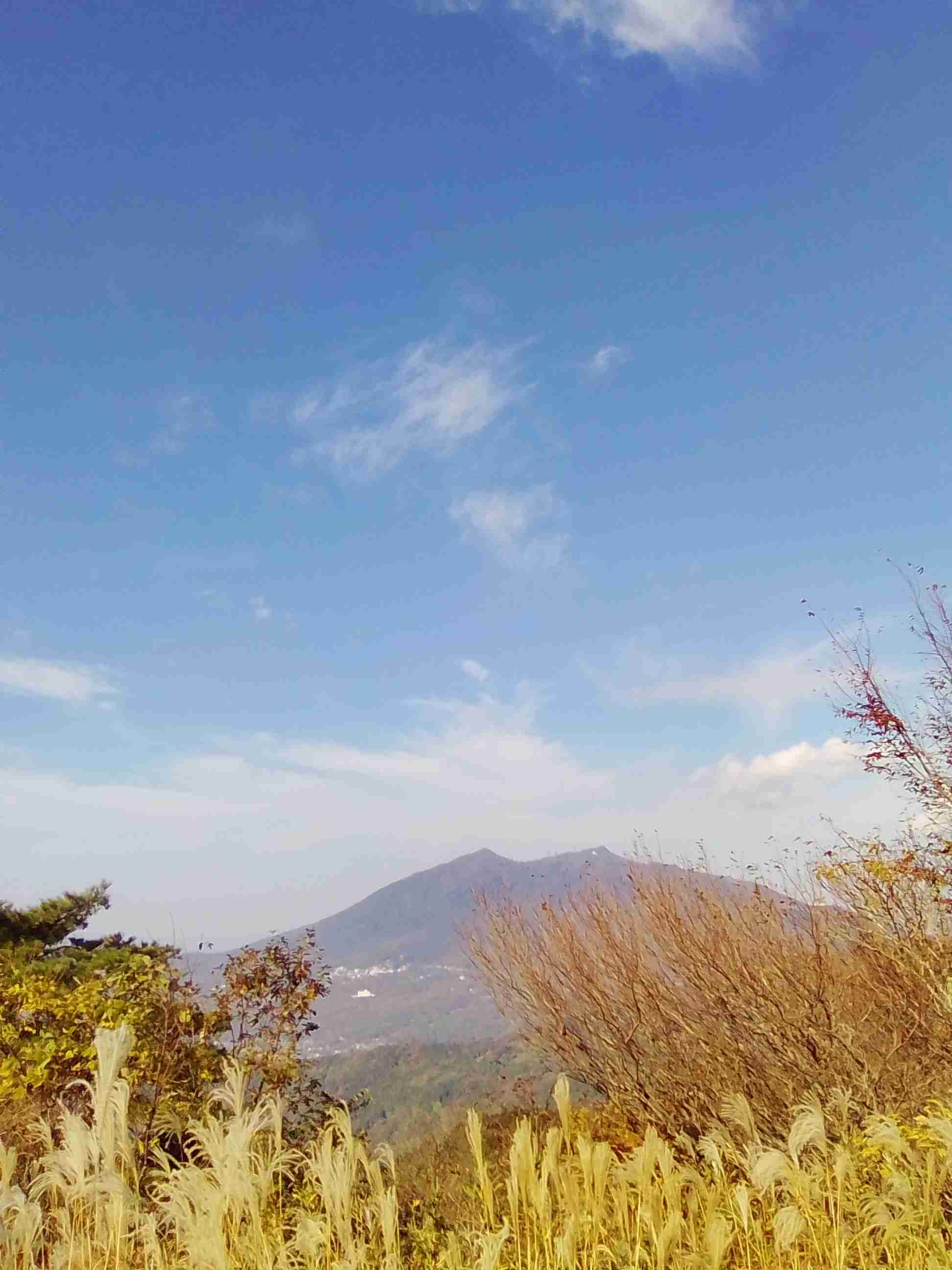 自分で撮影した、秋らしい写真を投稿しましょう