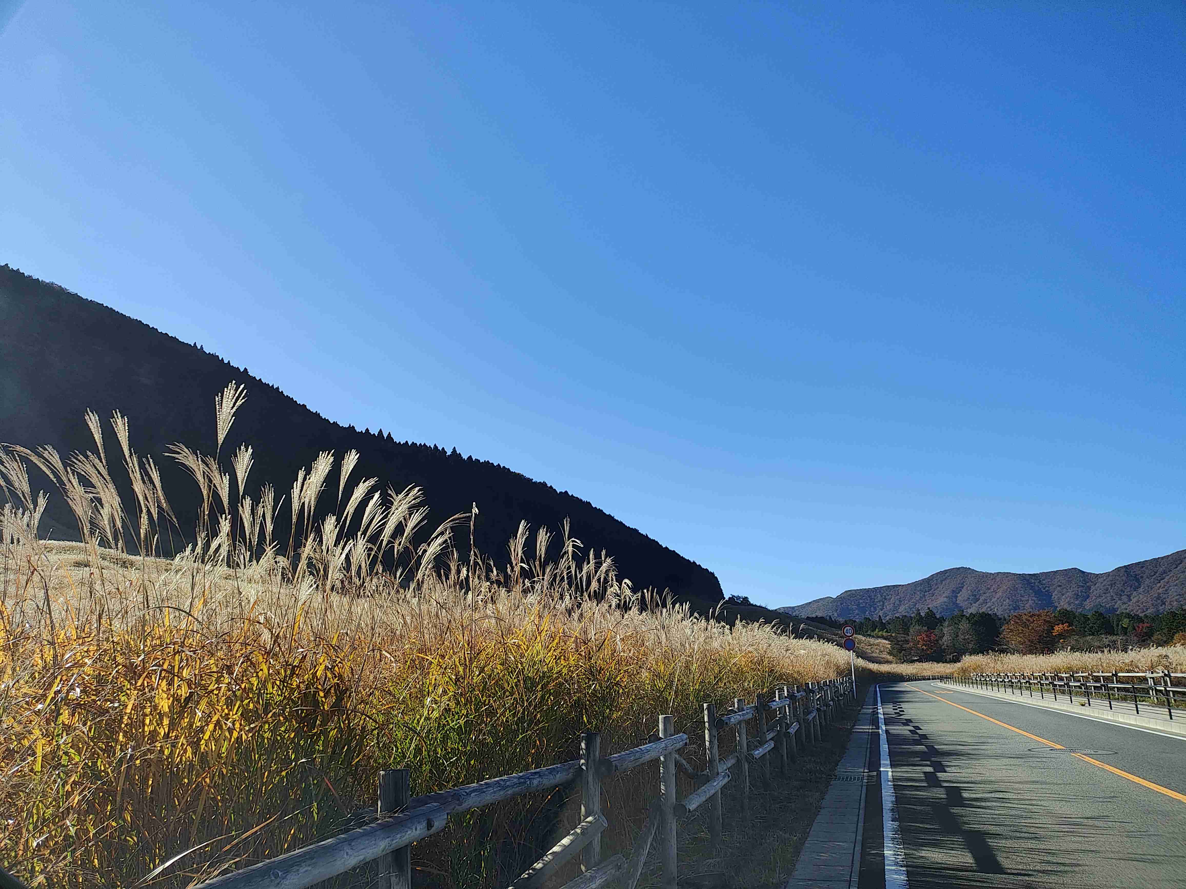 自分で撮影した、秋らしい写真を投稿しましょう