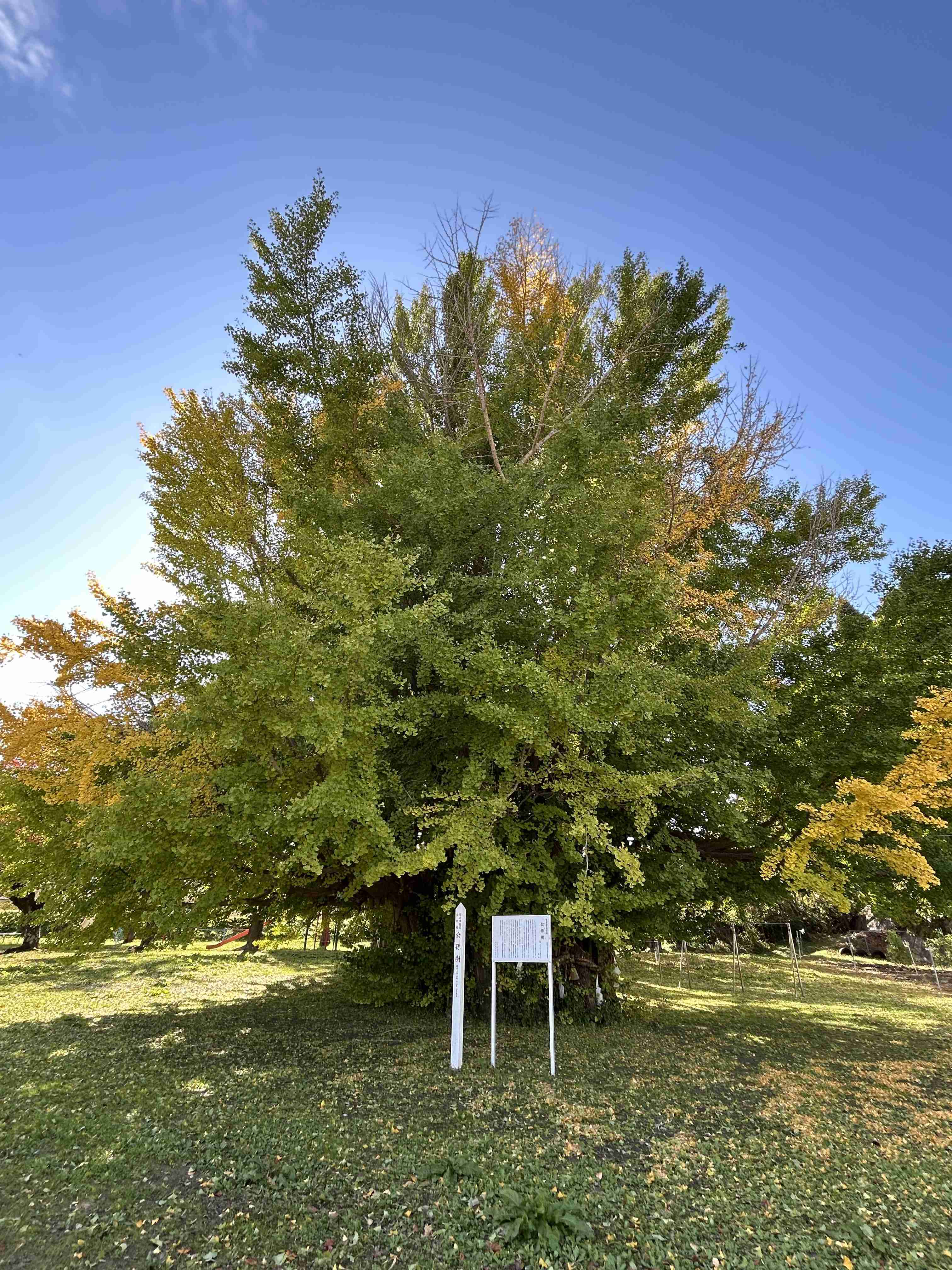 自分で撮影した、秋らしい写真を投稿しましょう