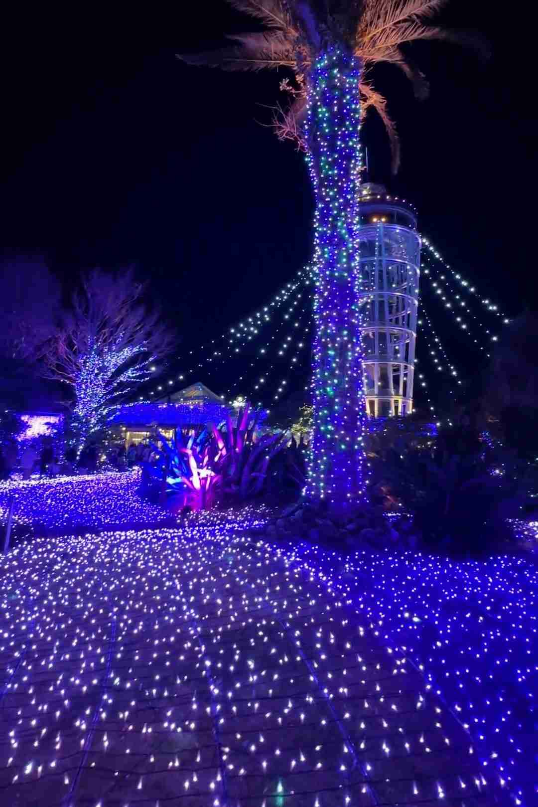 【混雑】各地でイルミネーション点灯 一部マナー違反も…六本木・けやき坂では警備員3倍に増員