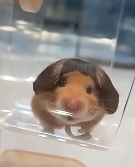 よーく覚えてる先生の発言