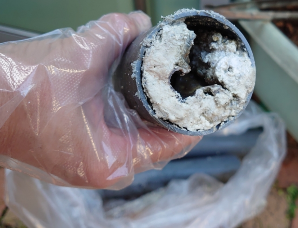 神奈川で暮らす外国人が過去最多　全国平均上回る３％超に　「目立ったトラブルは聞こえず」 共生社会の“先進県”