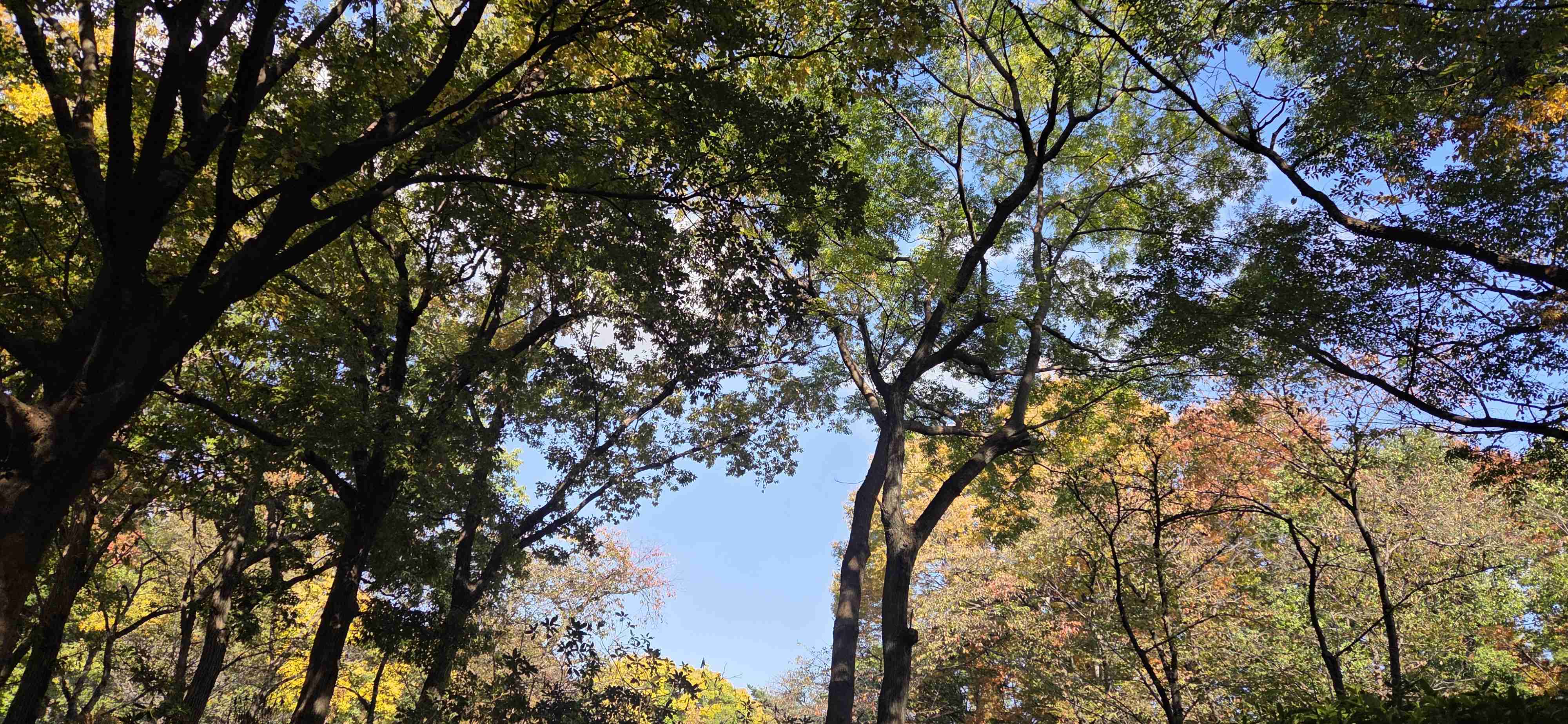 【家でも外でも】いま見える光景を貼るトピ