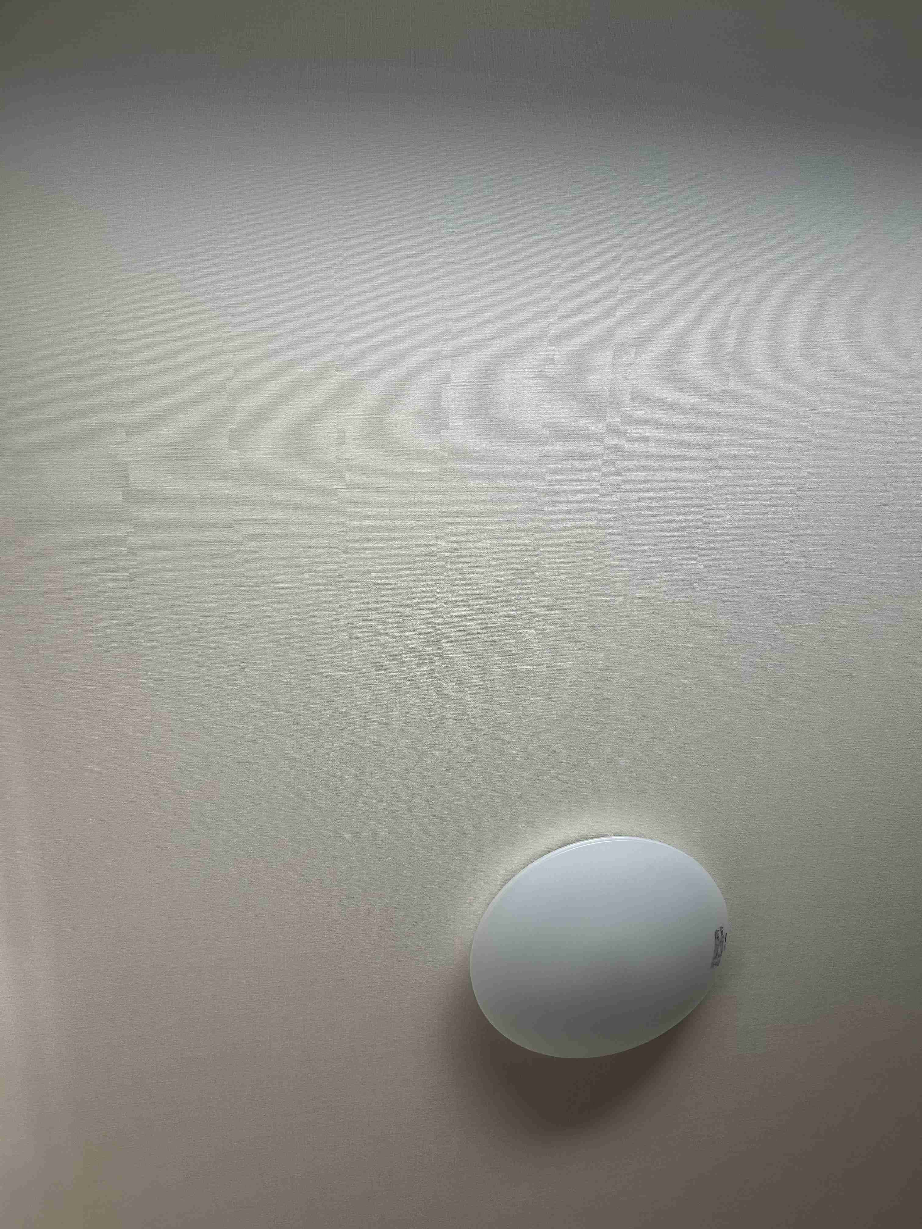 【家でも外でも】いま見える光景を貼るトピ