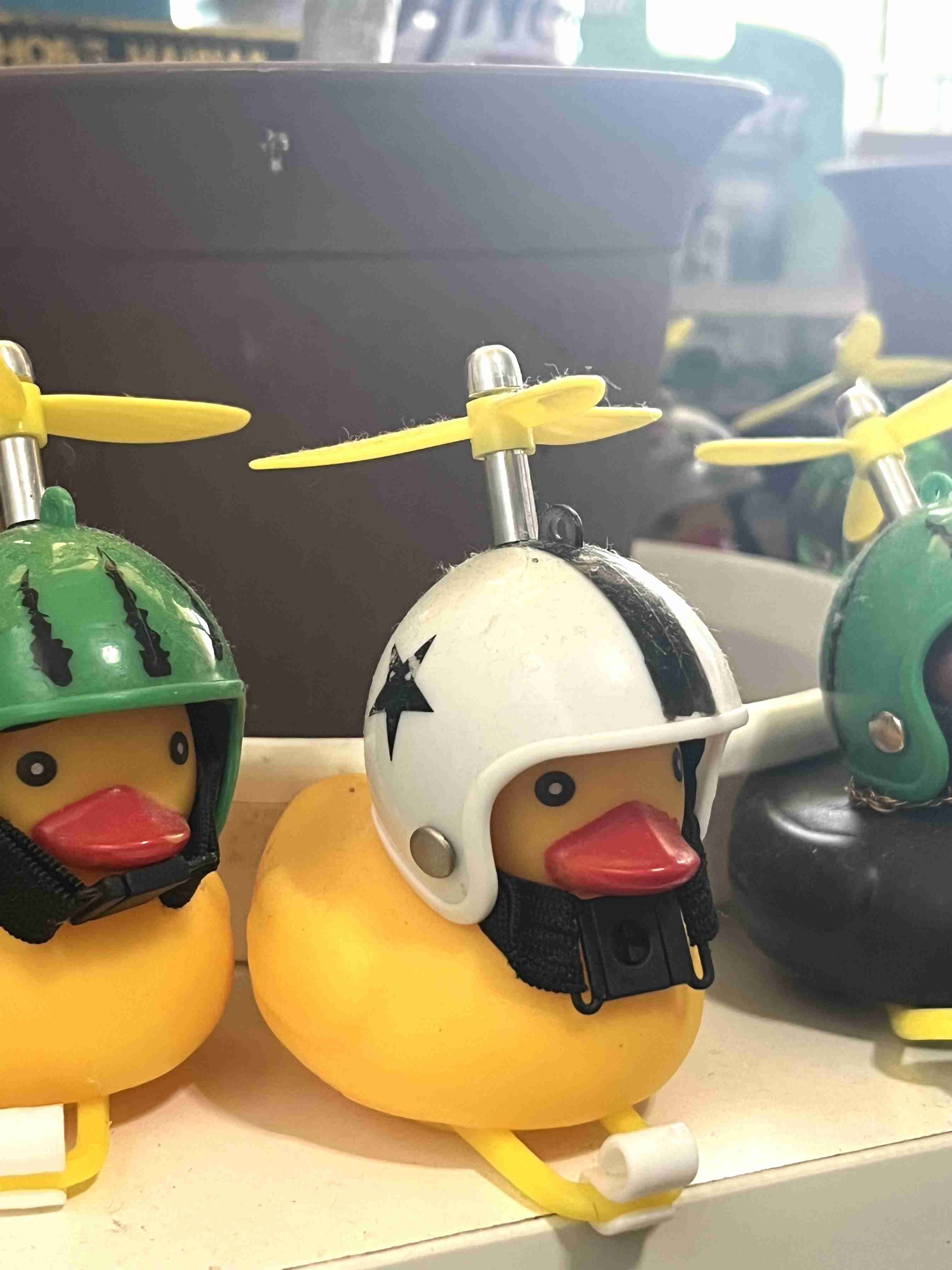 【家でも外でも】いま見える光景を貼るトピ