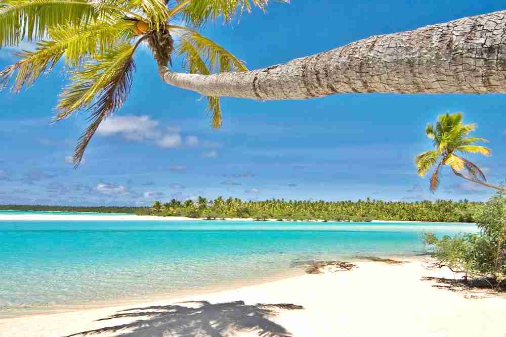 【家でも外でも】いま見える光景を貼るトピ