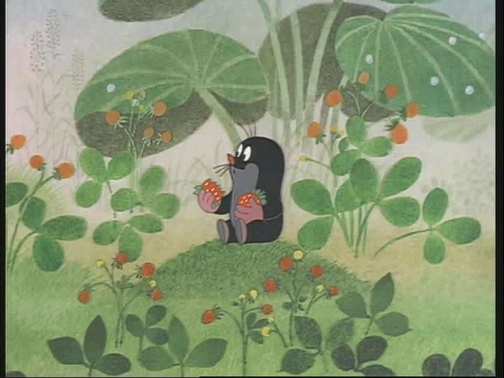 果物食べてますか？