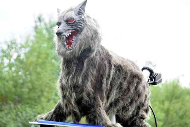 「これから５年で倍増する」の衝撃…専門家が語るクマ被害「全国で８万頭＆人間の味を学習」の悪夢