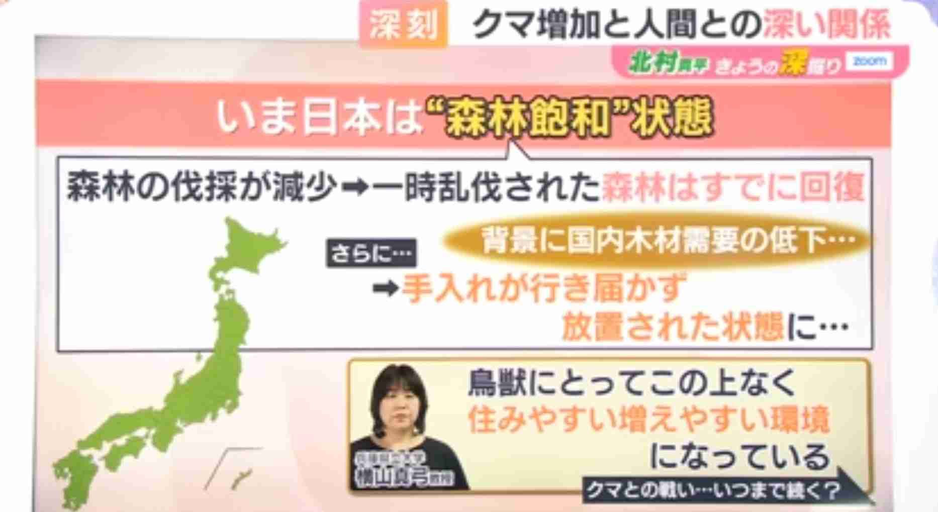 「これから５年で倍増する」の衝撃…専門家が語るクマ被害「全国で８万頭＆人間の味を学習」の悪夢