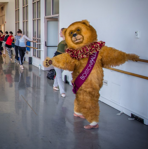 熊のキャラクターへの印象