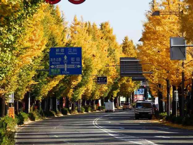 Ｉ♥多摩地区Part3